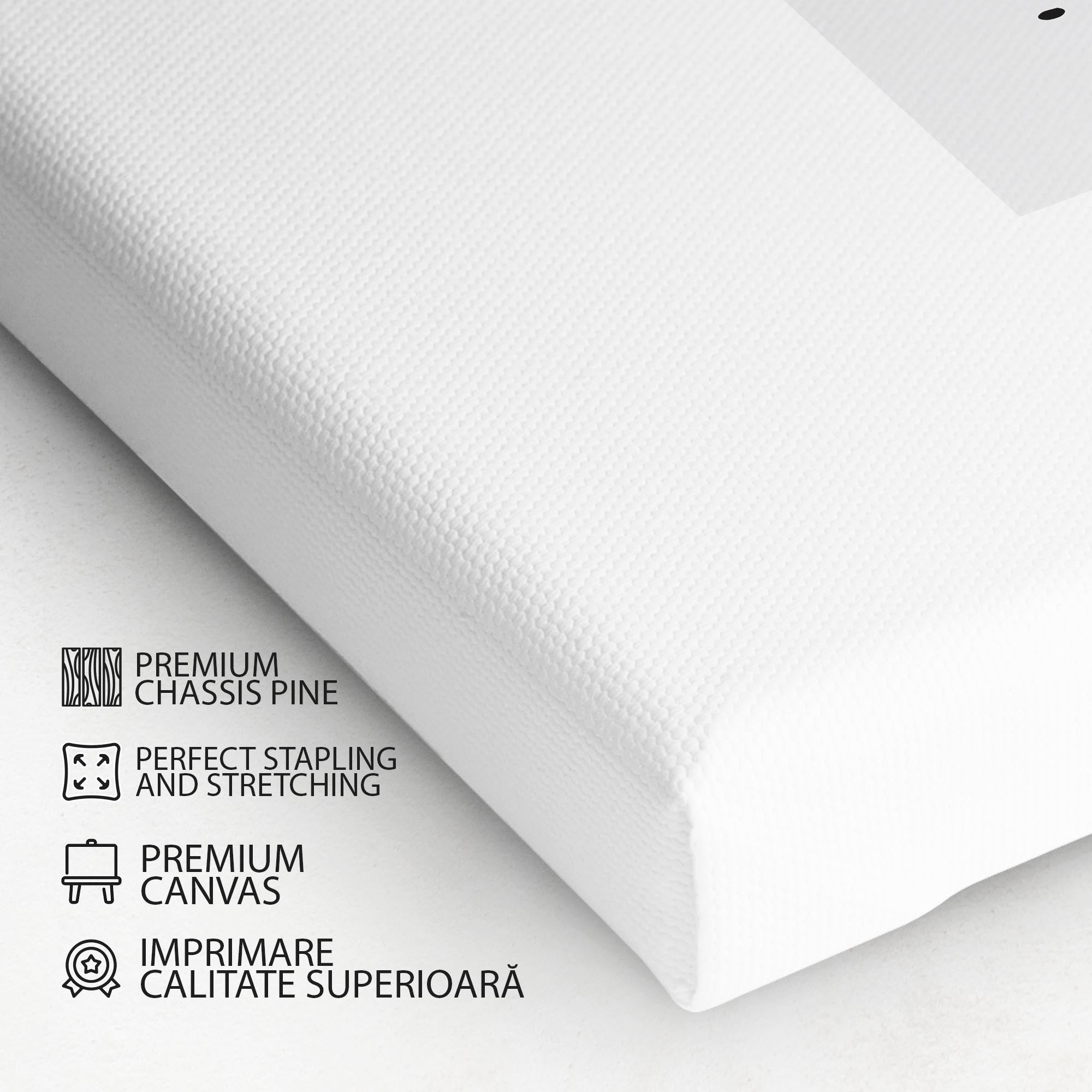 Tablou Canvas - Cerc de stele în jurul inelului Artă geometrică minimalistă